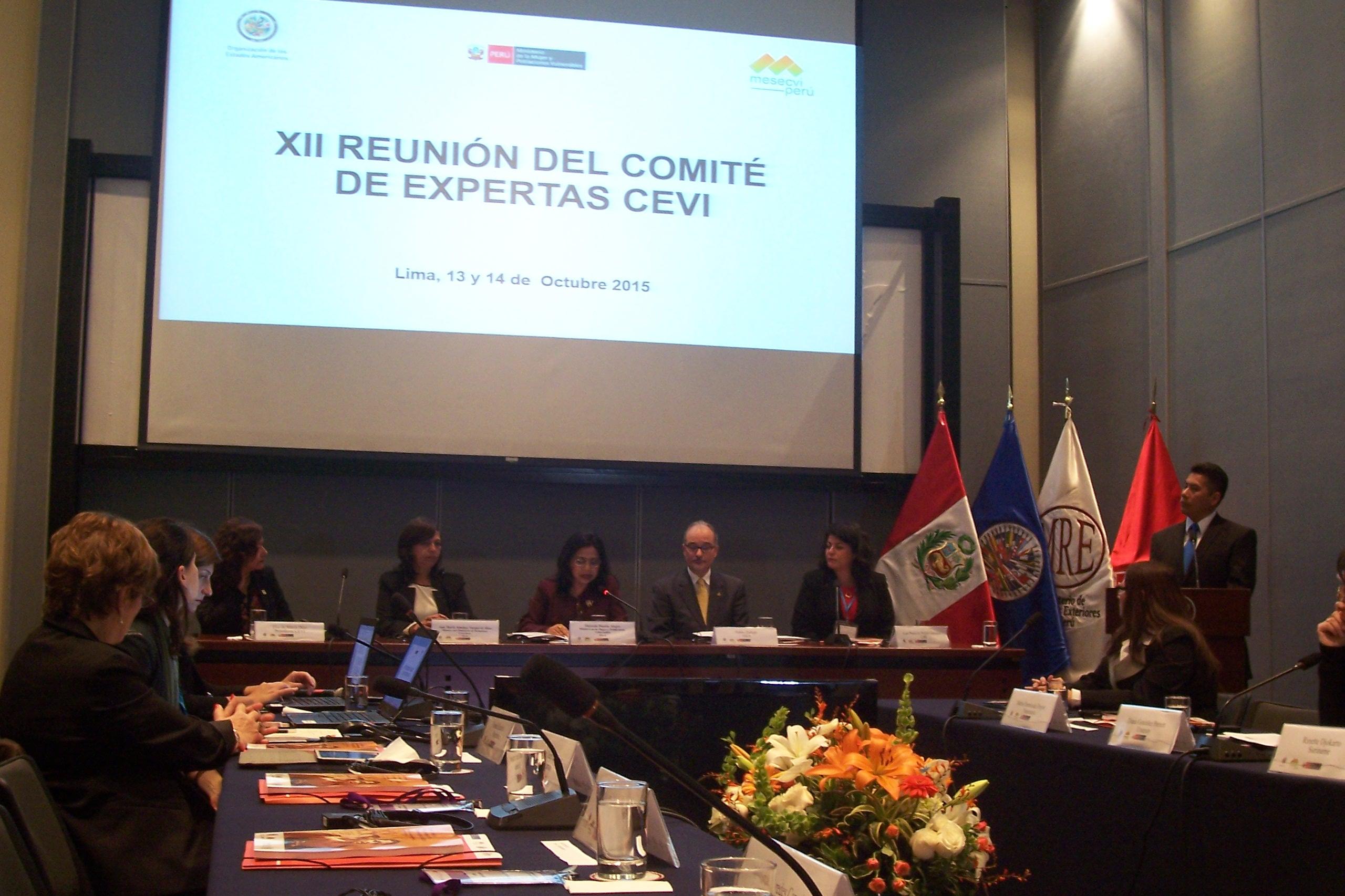 XII Reunión del Comité de Expertas en Violencia (CEVI/MESECVI/OEA).