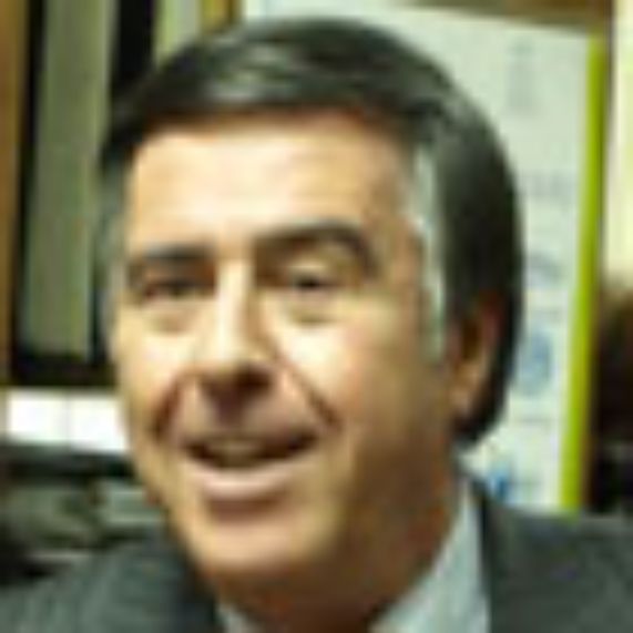Prof. José Morandé, Director del IEI