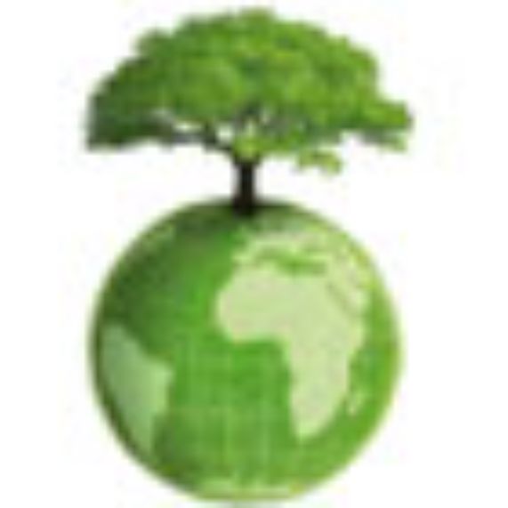 Curso de Medio Ambiente y Relaciones Internacionales, Comercio Exterior