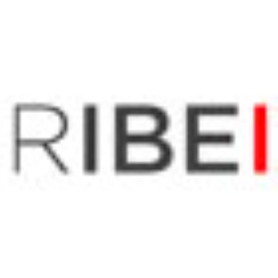 Red Iberoamericana de Estudios Internacionales (RIBEI)