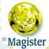 Magister en Estudios Internacionales